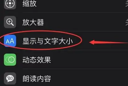 苹果15怎么放大手机字体 iPhone15调整字体大小方法介绍图3