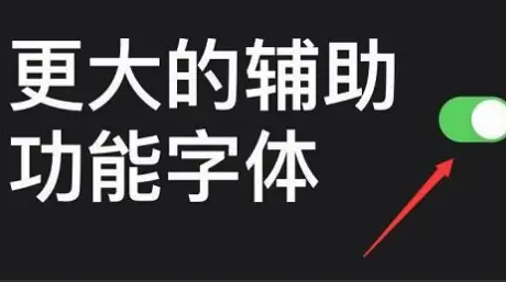 苹果15怎么放大手机字体 iPhone15调整字体大小方法介绍图5