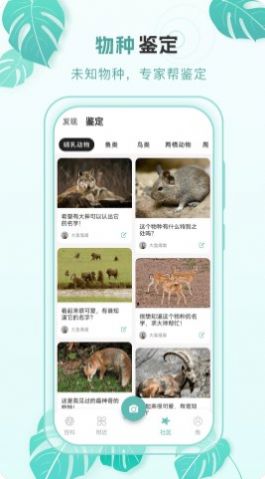 百科物语官方正版app截图