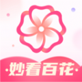 妙看百花百科官方版