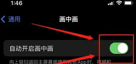 iPhone15如何分屏 苹果15开启画中画方法介绍图4