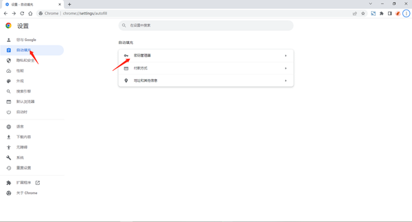 谷歌浏览器在哪里导入账号密码呢图5